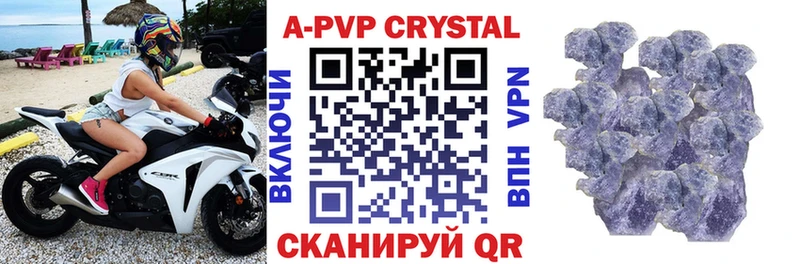 Альфа ПВП СК Новокузнецк