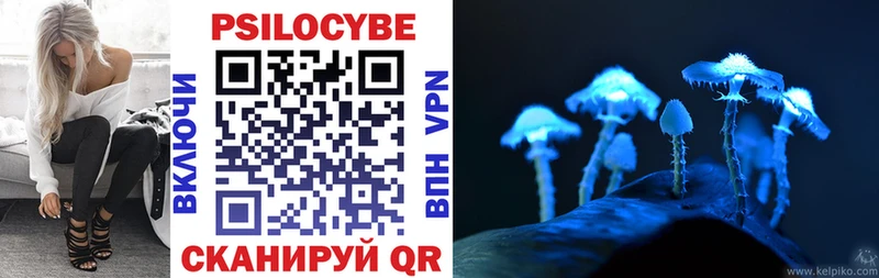сколько стоит  Новокузнецк  Галлюциногенные грибы прущие грибы 