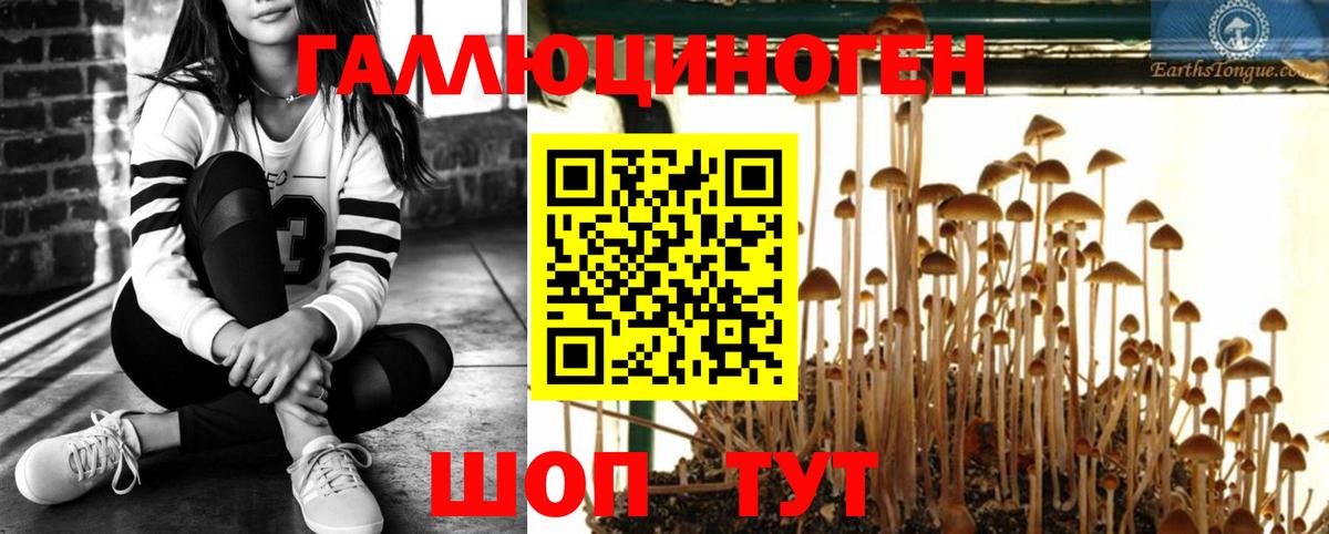 Псилоцибиновые грибы Magic Shrooms Россия